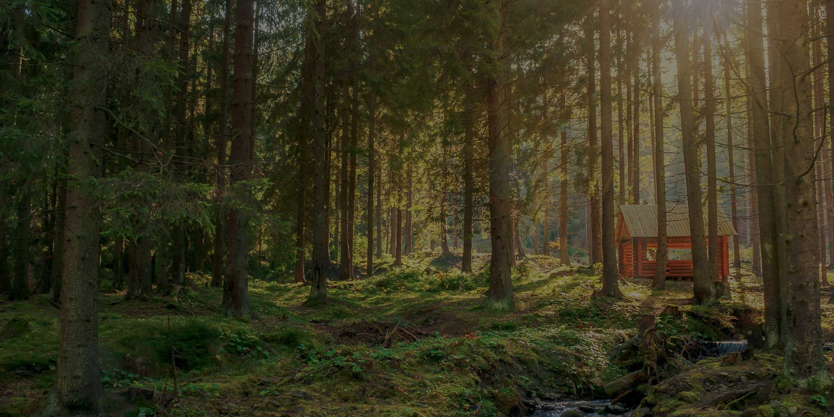 En skog med ett litet hus